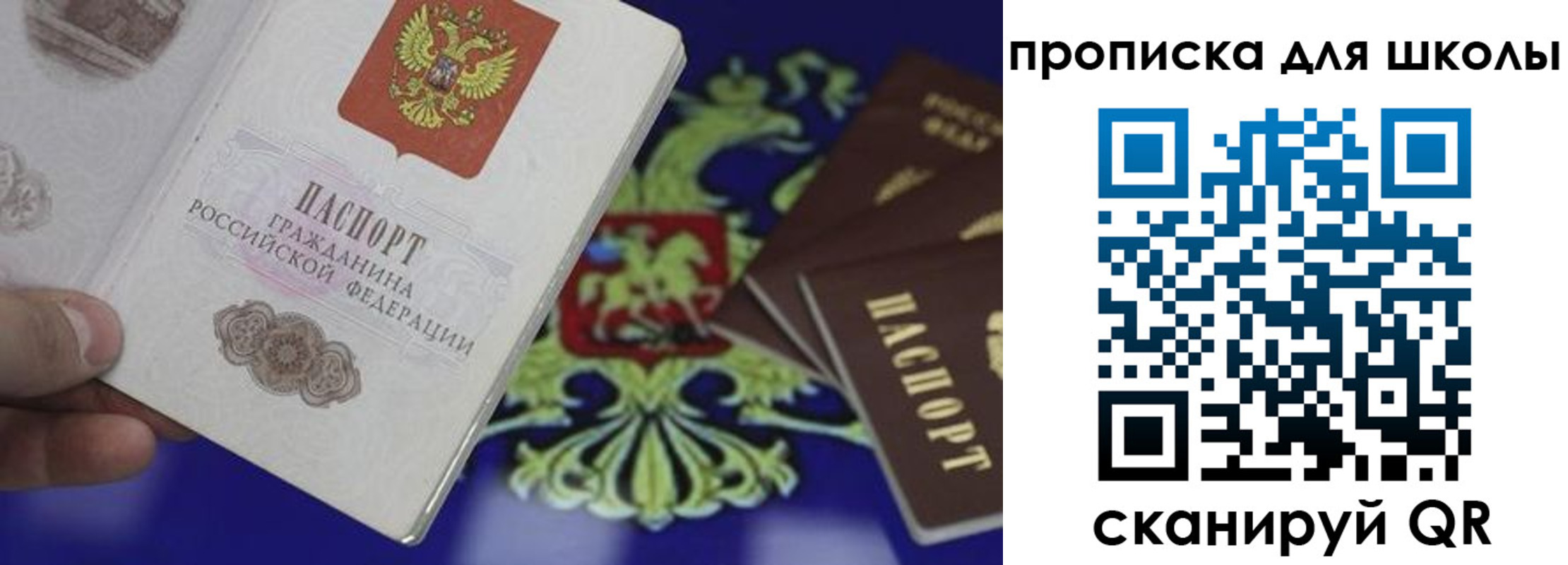 прописка паспорт в Приозерске